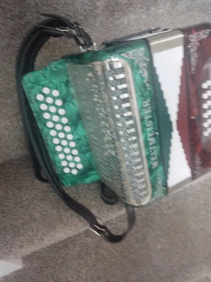 Accordion - Image 3