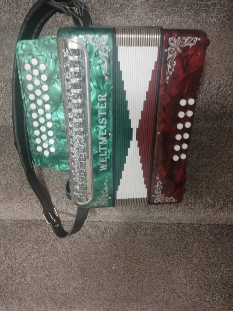 Accordion - Image 4