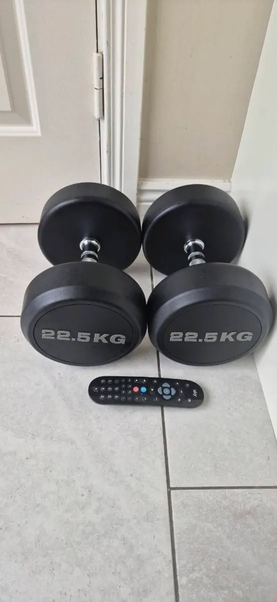 Dumbbell pair 2x22.5kilo brand new - Image 1