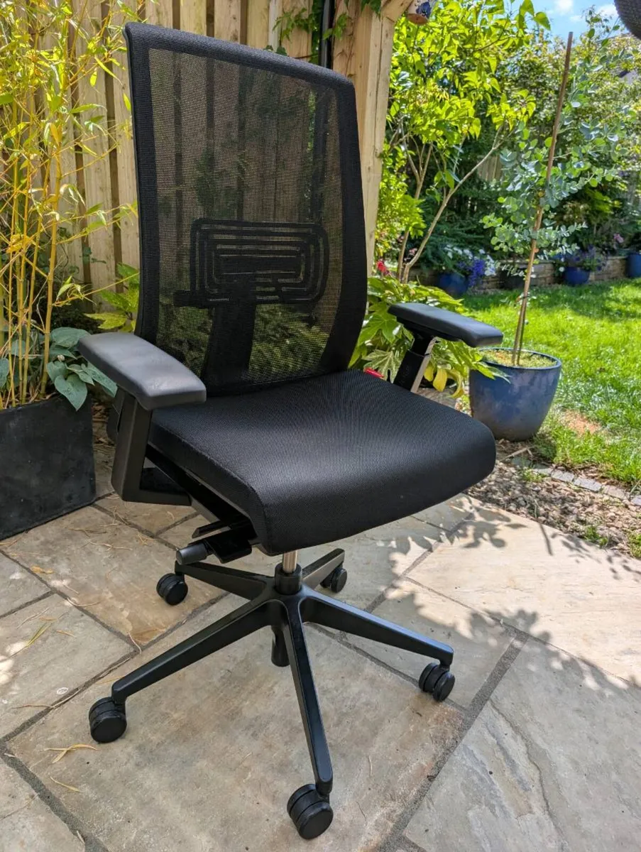 Ergonomic office chair - Image 1
