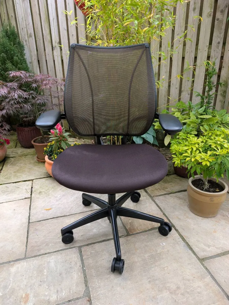 Ergonomic office chair - Image 1