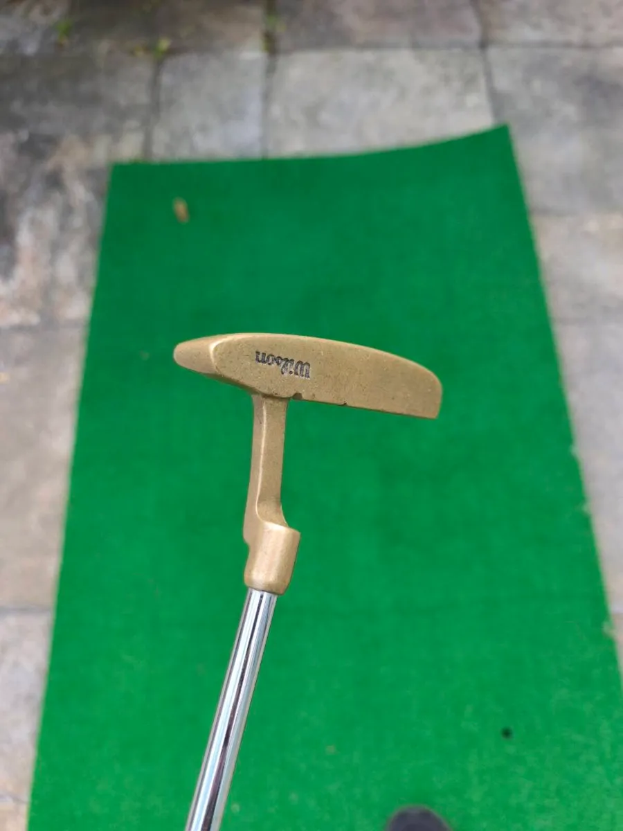 Pitching Wedge & Putter - Perfect for pitch & putt - Image 1