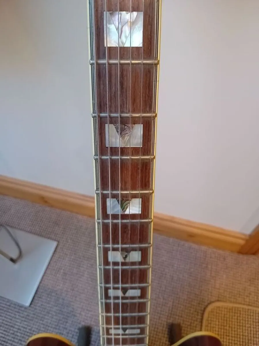 Vintage Gibson Epiphone Sheraton II - Image 2