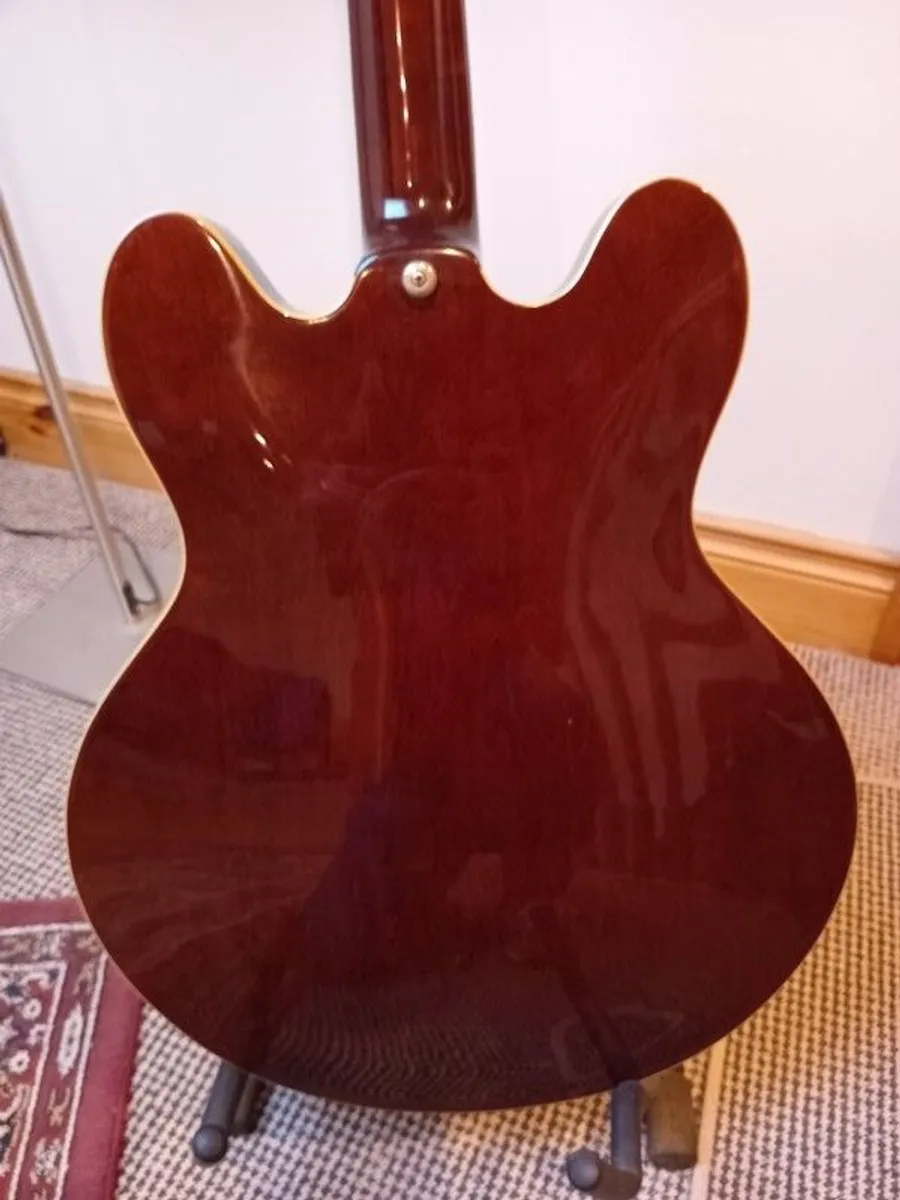 Vintage Gibson Epiphone Sheraton II - Image 4