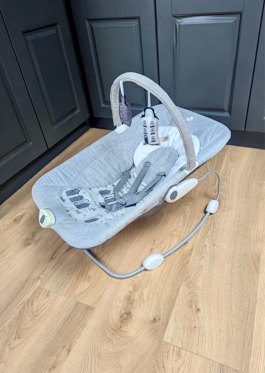 Joie Wish Baby Bouncer