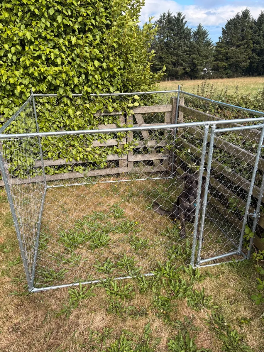 Outdoor dog enclosure - Image 3