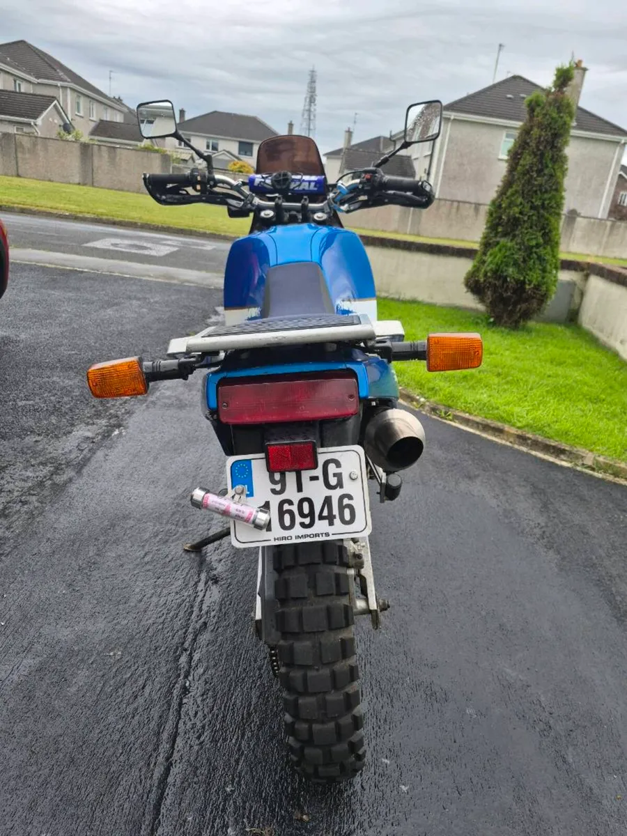 DR800 - Image 3