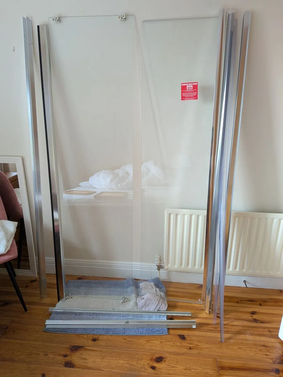 Shower door (new)