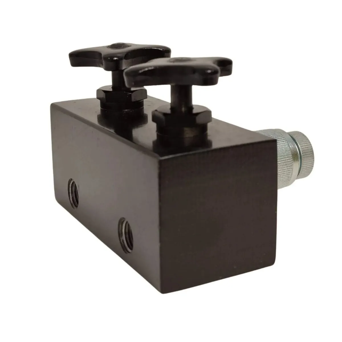 Hydraulic Control Block Comes with 2 Screw Valves - Image 2