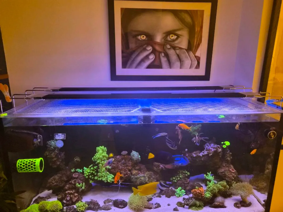 2 AI Blades 39" Coral Grow & Coral Glow Lights - Image 3