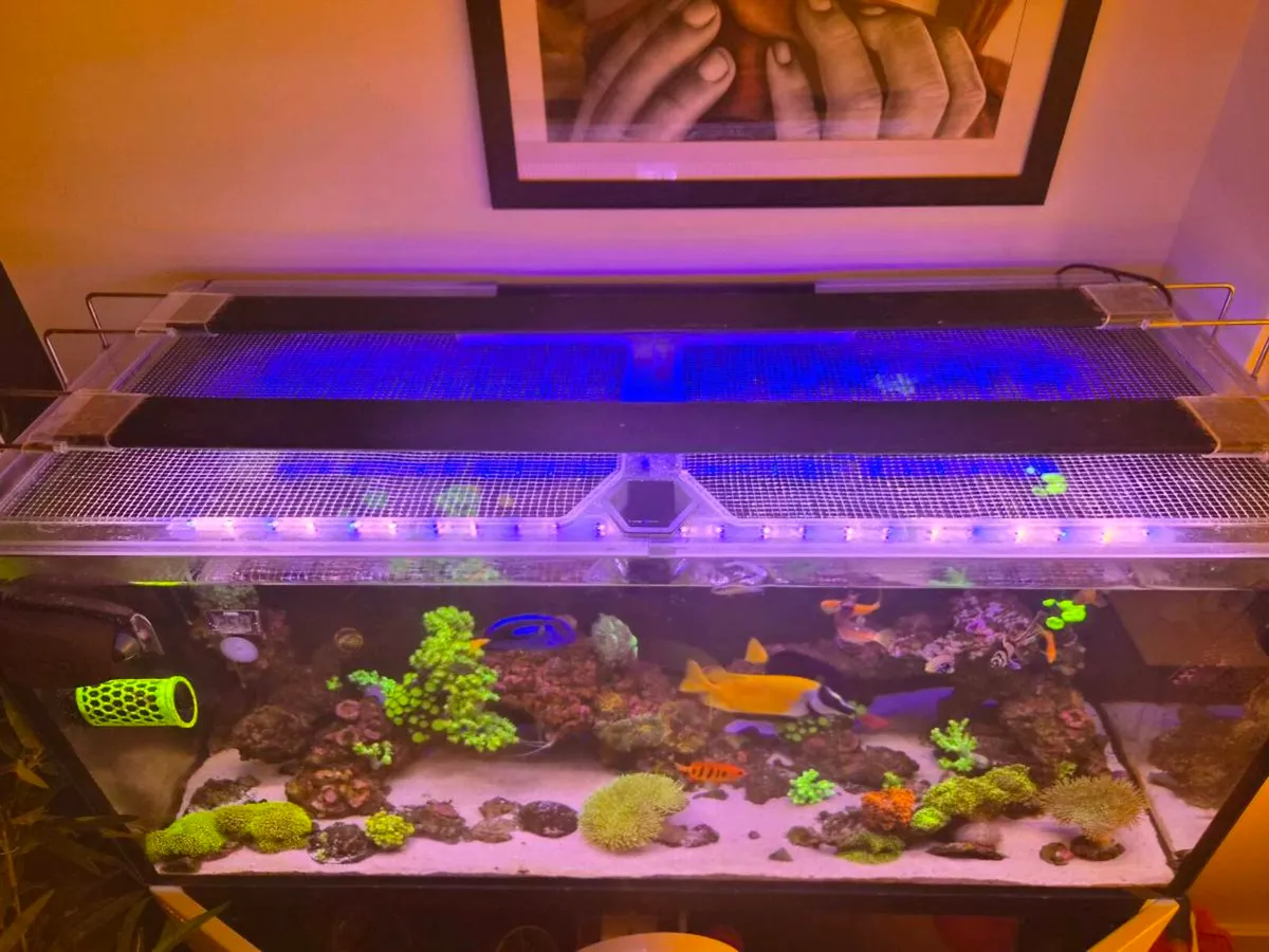2 AI Blades 39" Coral Grow & Coral Glow Lights - Image 1