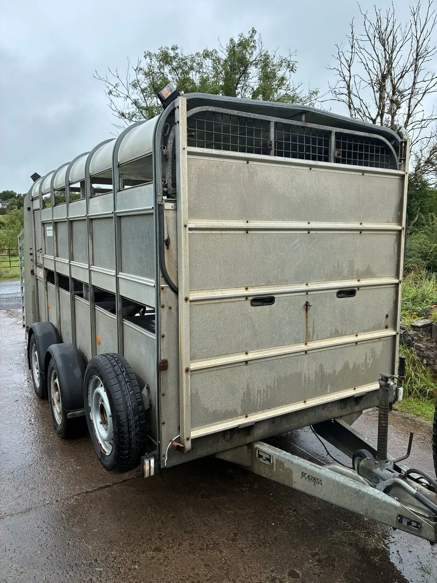 Ifor Williams Cattle / Sheep Trailer - Image 2