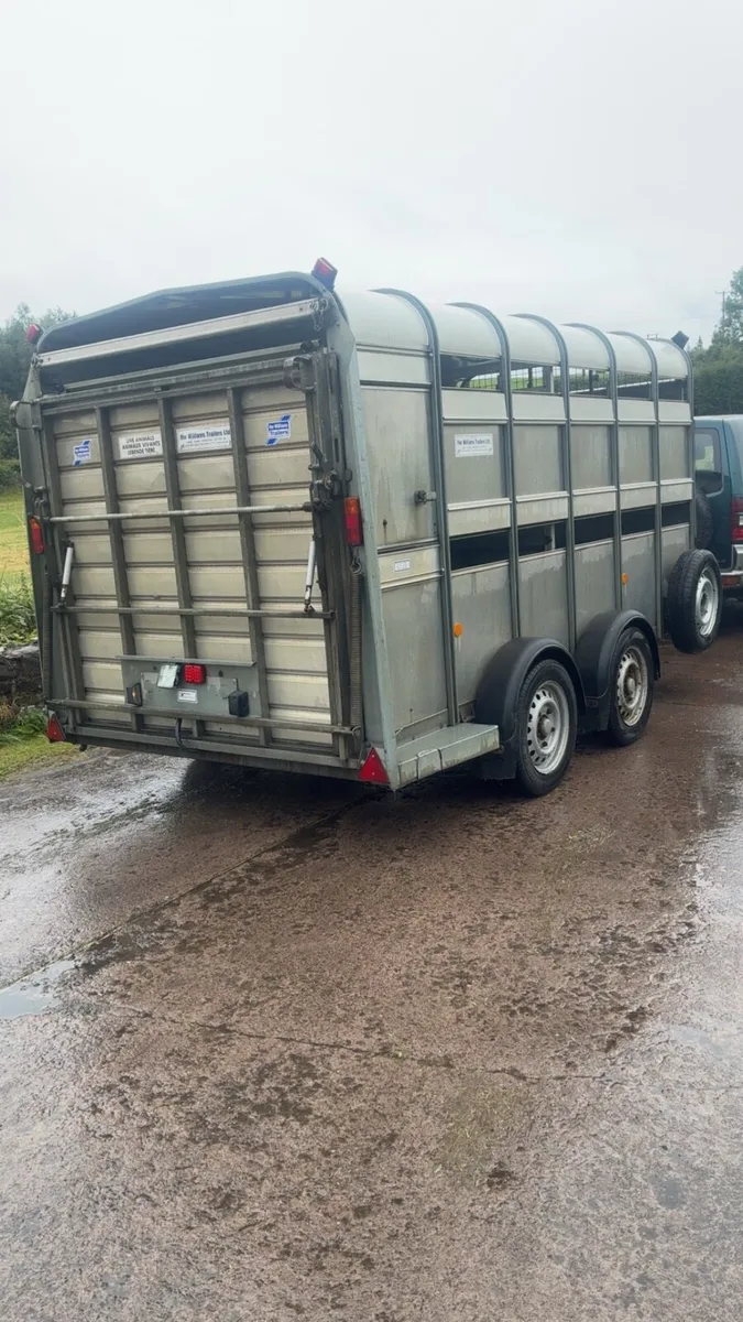 Ifor Williams Cattle / Sheep Trailer - Image 4