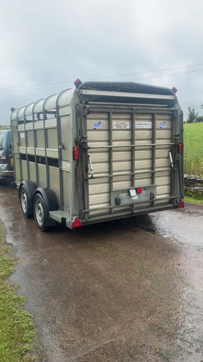 Ifor Williams Cattle / Sheep Trailer - Image 3