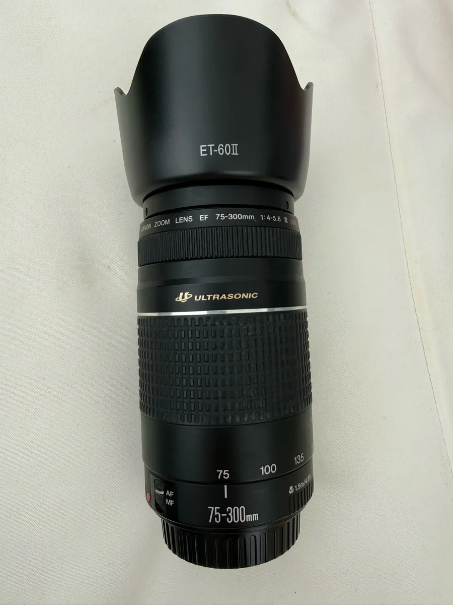 Canon 90D W/ Lens - Image 4