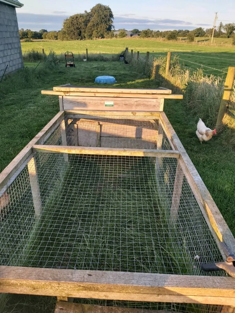 2 Coops and hen's - Image 3