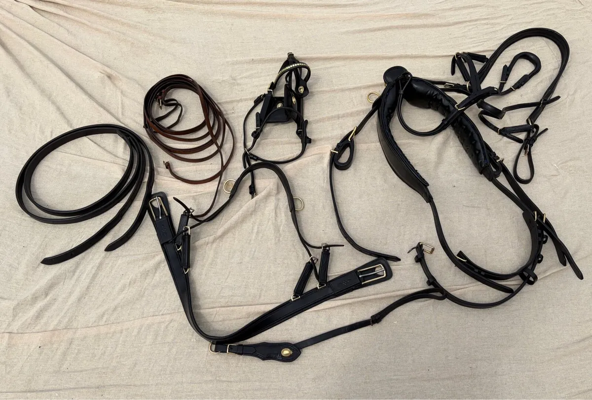 Show Driving Harness Horse Cob - Image 1