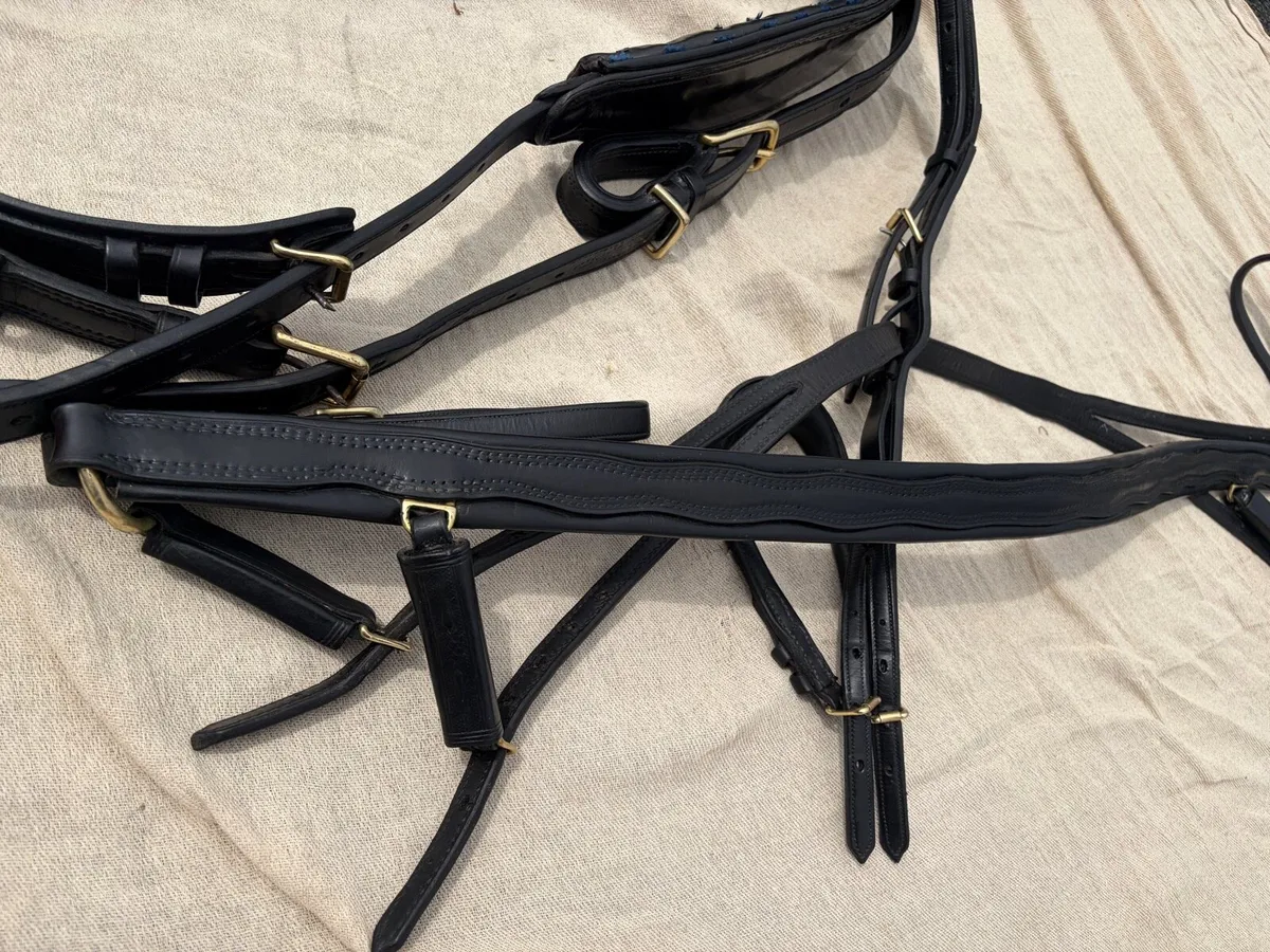 Show Driving Harness Horse Cob - Image 4