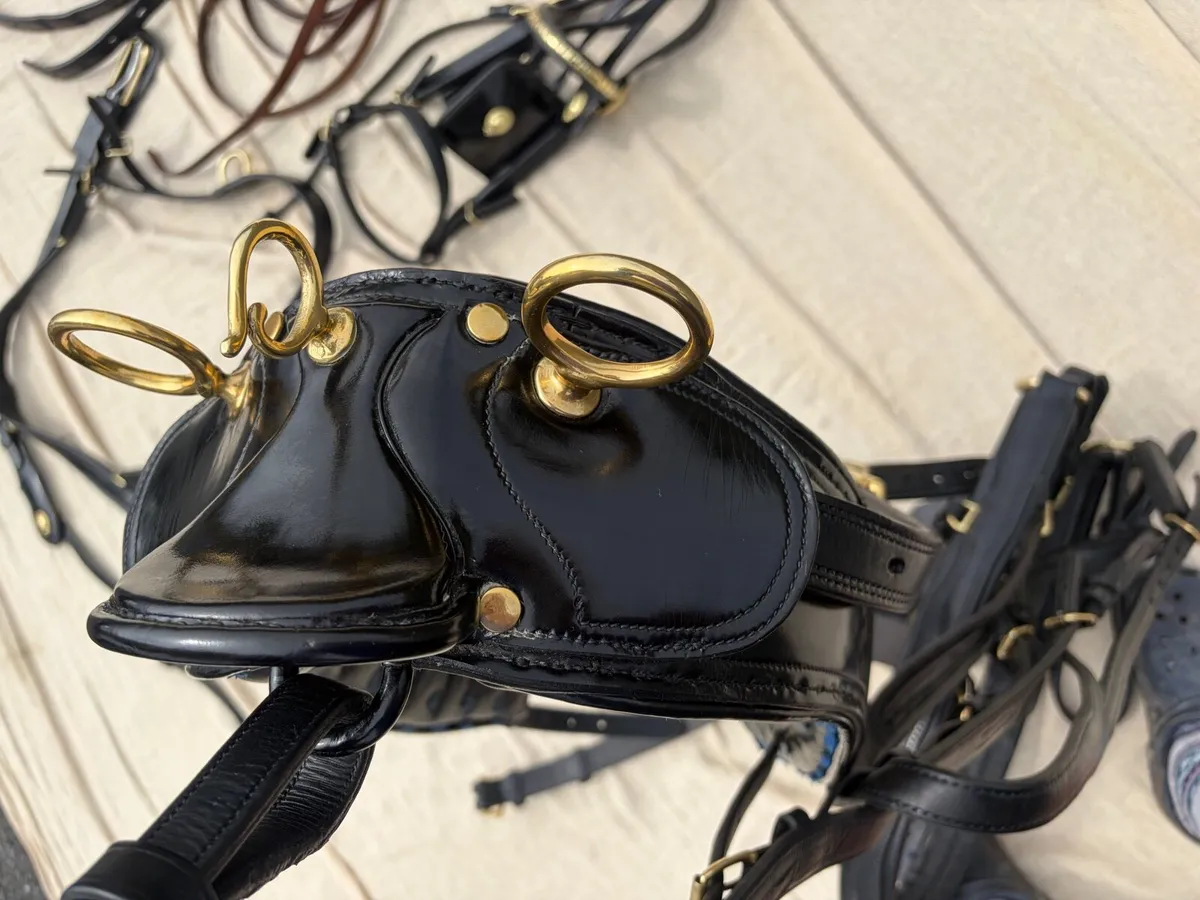 Show Driving Harness Horse Cob - Image 3