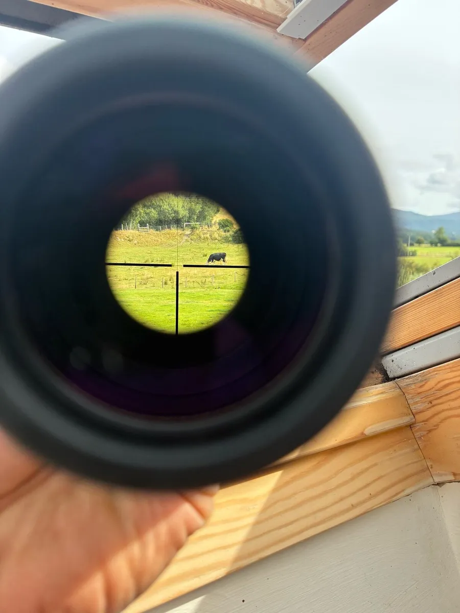 Zeiss Diaviri 3-12x56 T* - Image 3