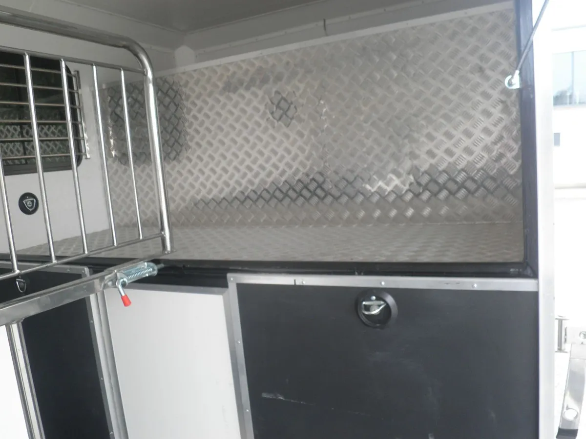 Renault Master 2HorseLorry - Image 4