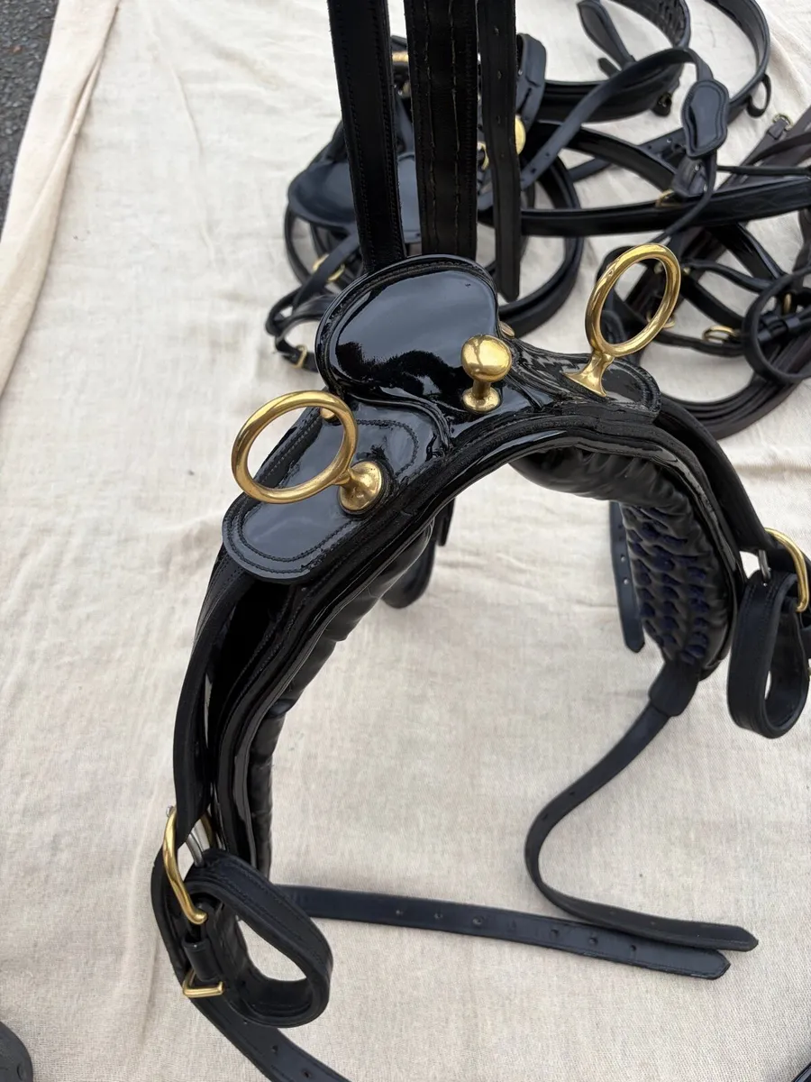 Show Harness DW Tyler  Patent - Image 3