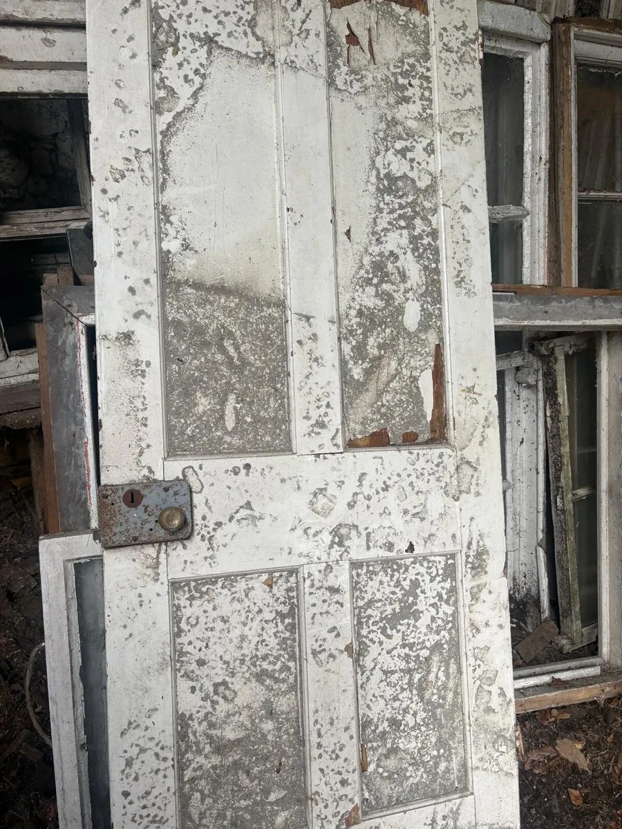 Old doors - Image 1