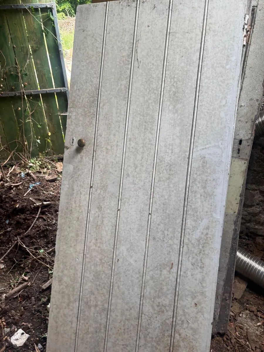 Old doors - Image 4