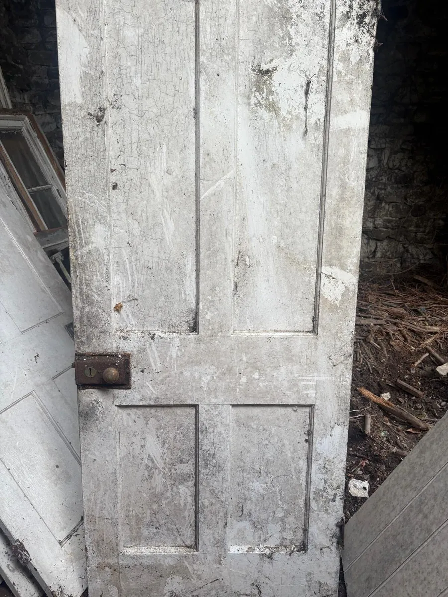 Old doors - Image 3