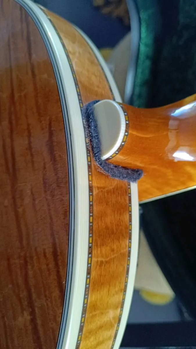 Deering Calico - Image 3