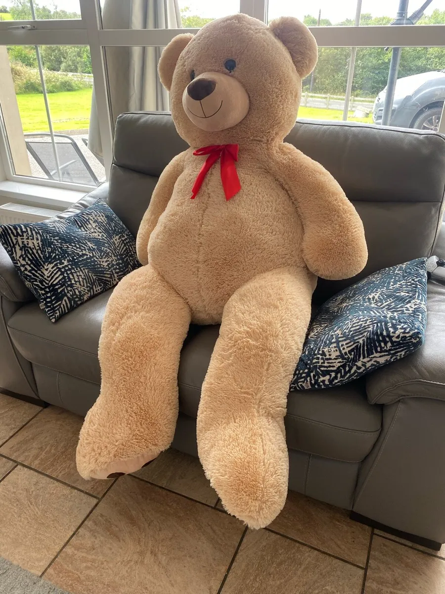Giant Teddy - Image 2