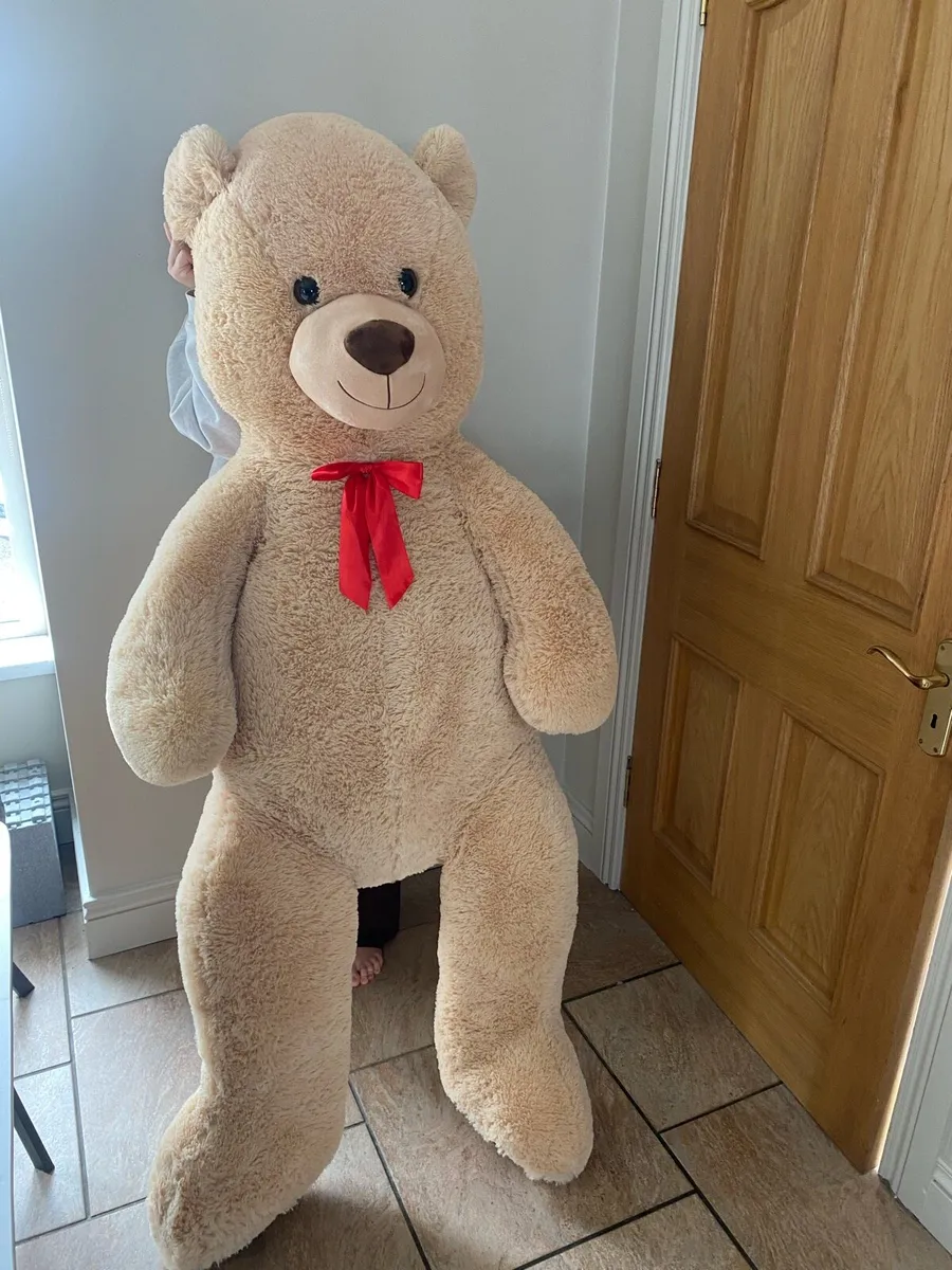 Giant Teddy - Image 1