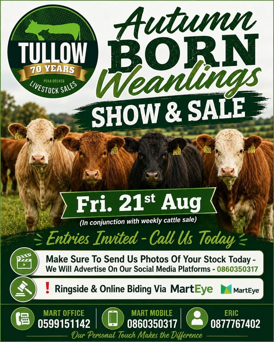 Autumn Born Weanling's Show & Sale - Tullow Mart