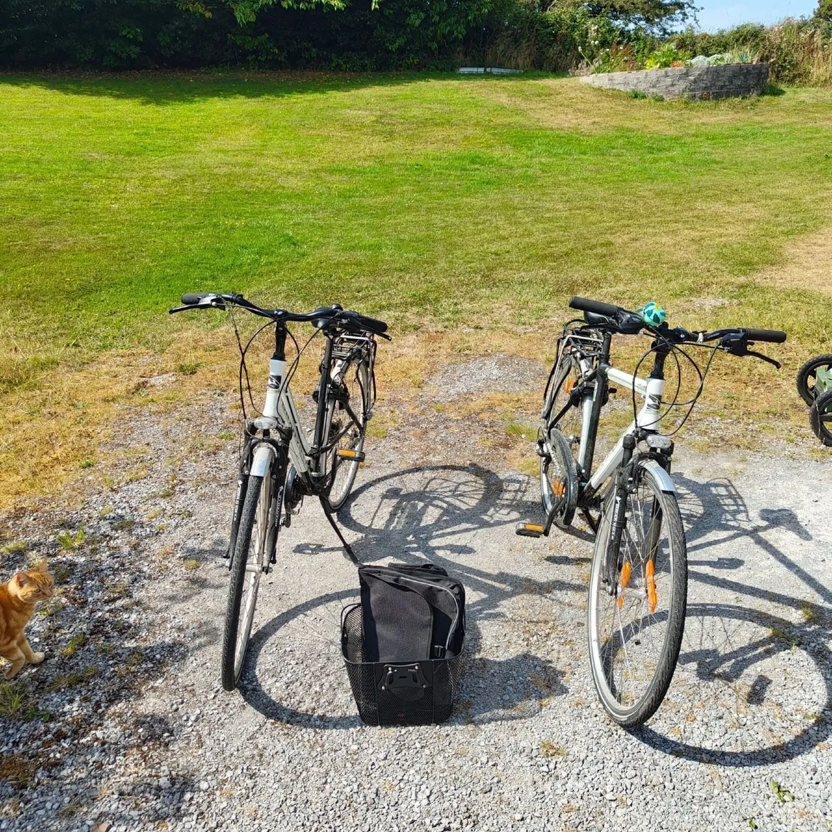 Pair of Granville Trekking Bikes — Ladies & Gents - Image 4