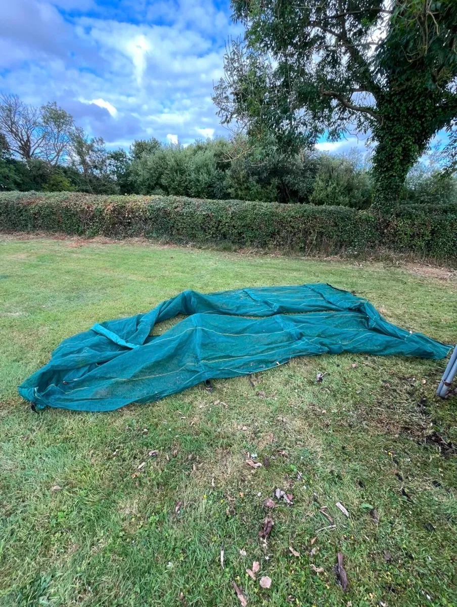 Trampoline - Image 3