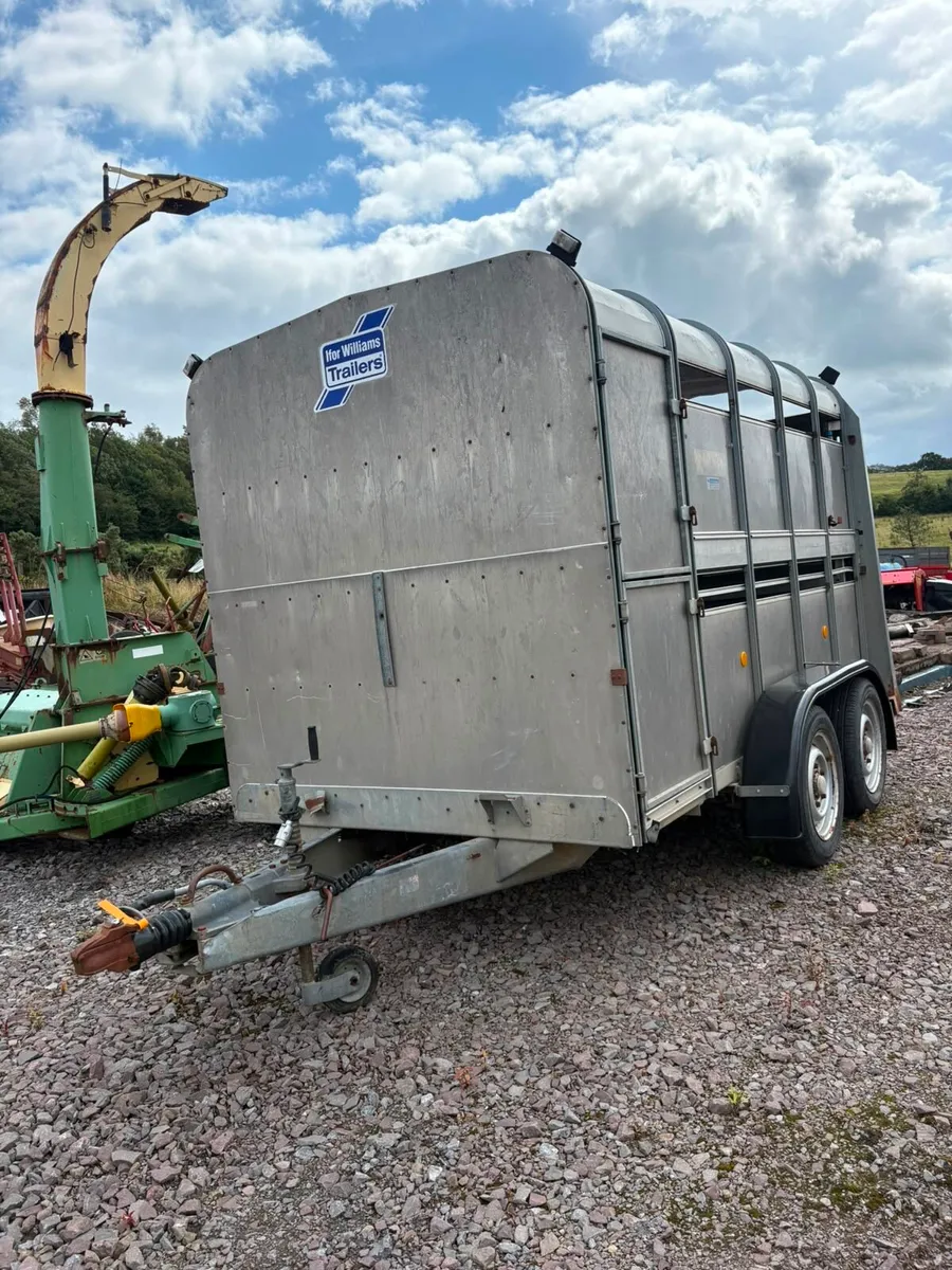 10x6 Ifor Williams choice of two - Image 1