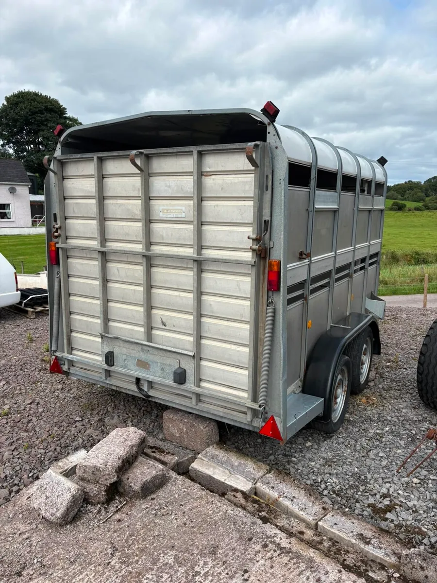 10x6 Ifor Williams choice of two - Image 2
