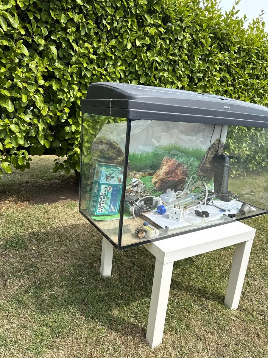 Full fish tank 100*40*50cm high - Image 3