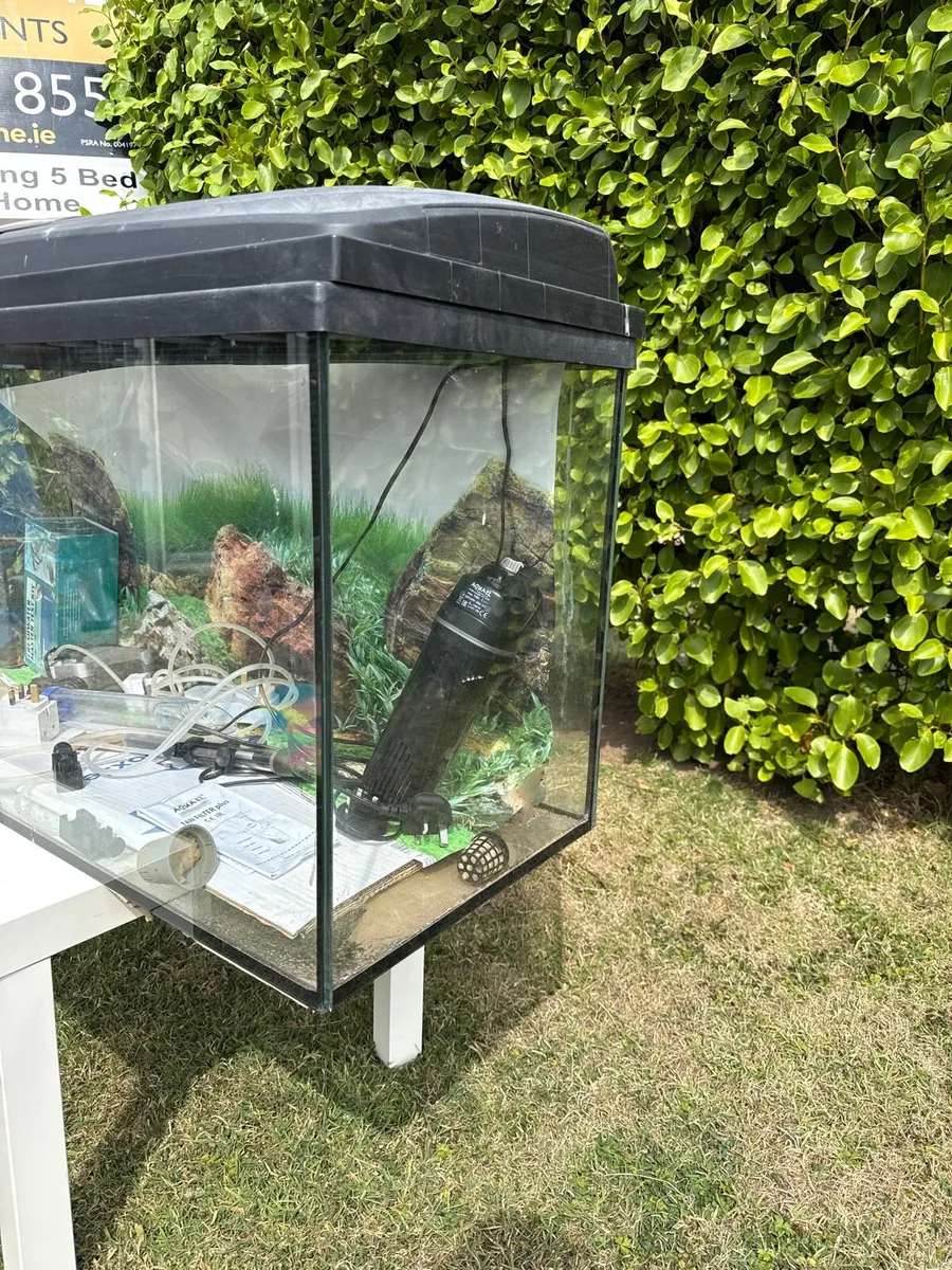 Full fish tank 100*40*50cm high - Image 2