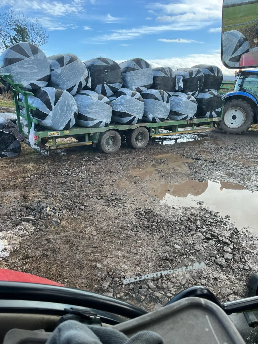 Silage Bales