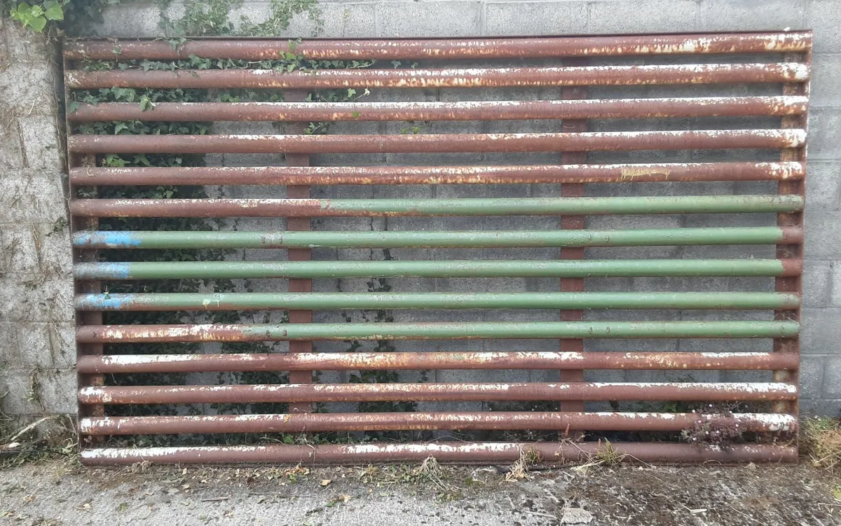 Cattle Grid