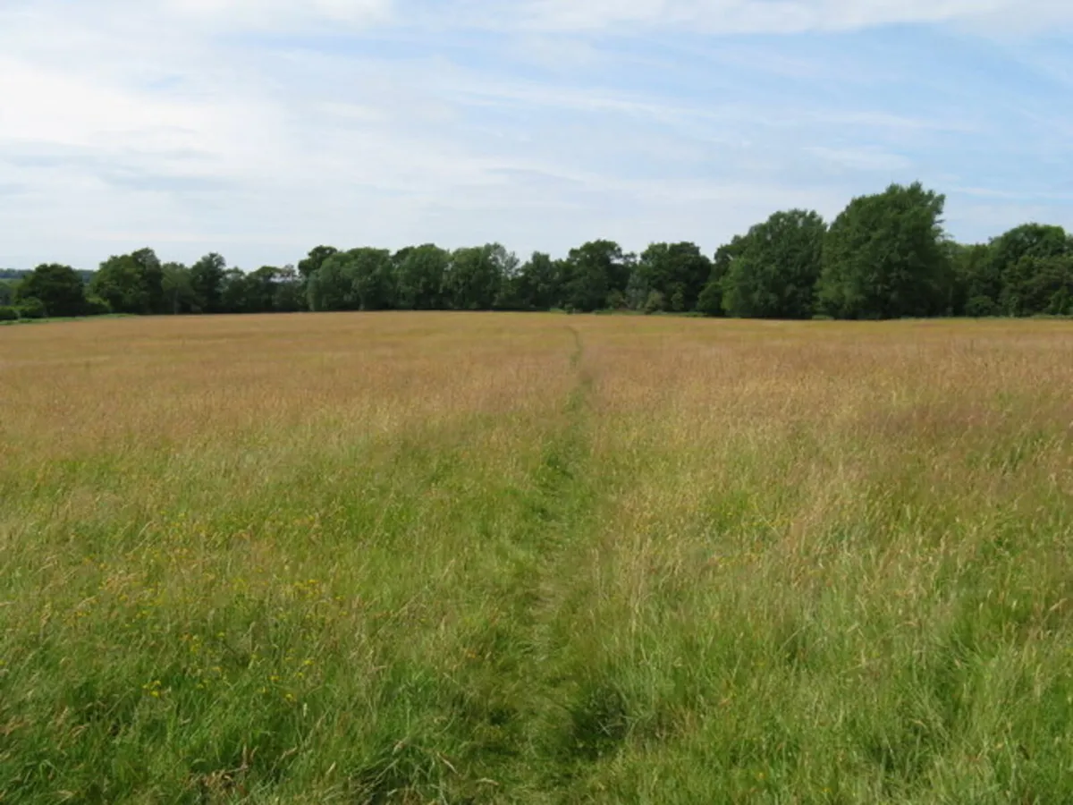 Looking for land to rent