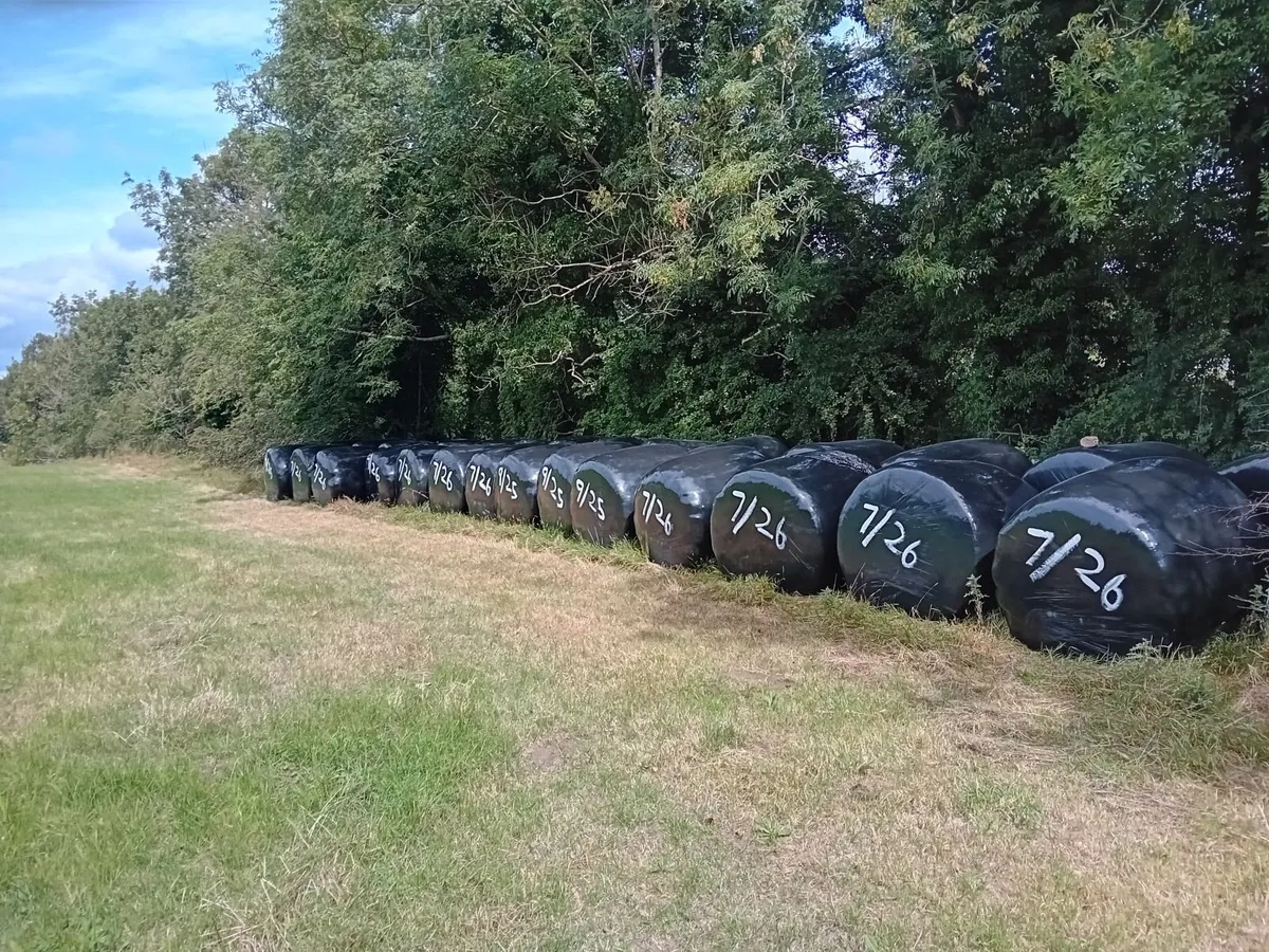 Sillage bales - Image 2