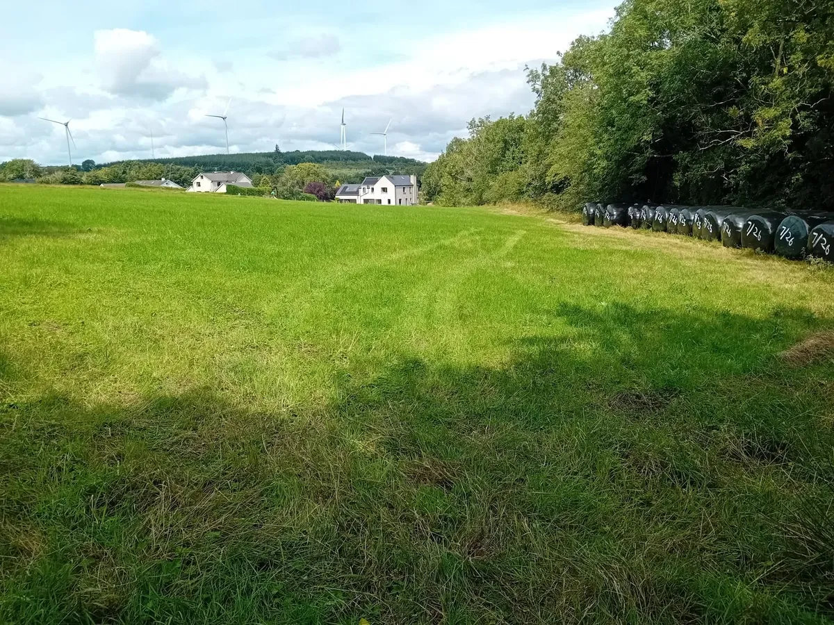 Sillage bales - Image 3