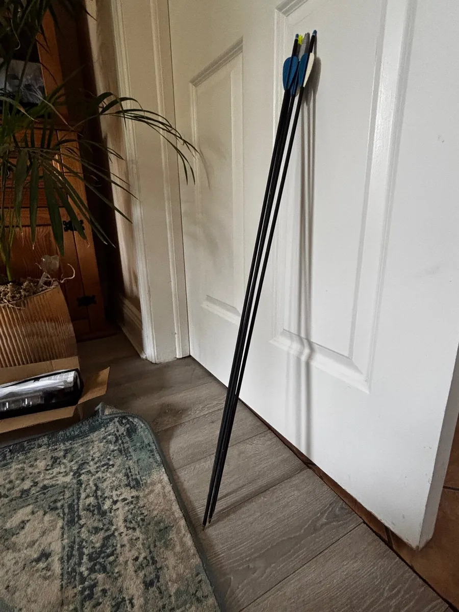 Compound Bow & Arrows – Hotaka - Image 3