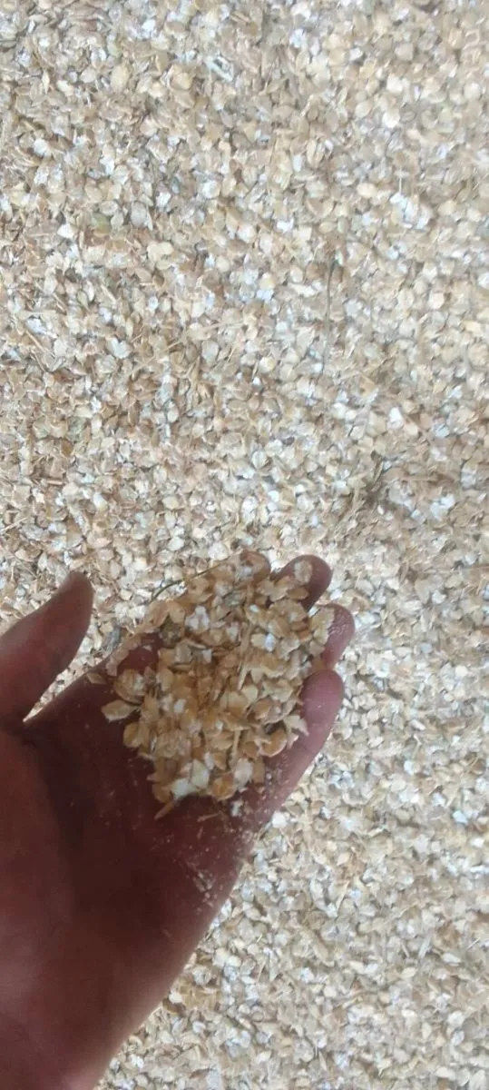 Corn roller - Image 2
