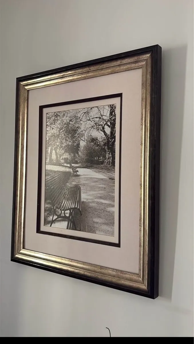 Large picture Bautifully framed  21 x 25 inche - Image 1