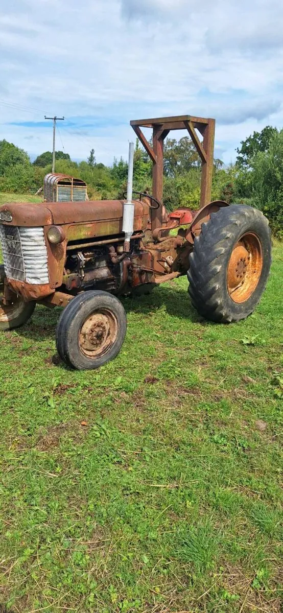 Mf 65 - Image 1