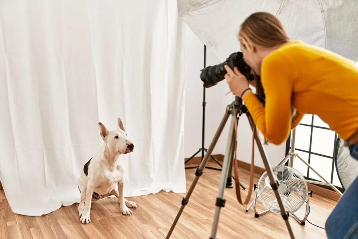 Gift Voucher for Pet Photography