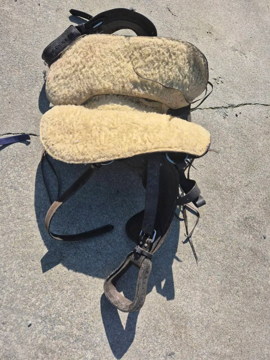 Saddle - Image 2